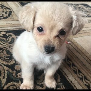 Meet your Posher, Stan